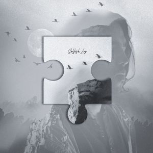 Selfish Log (Single)
