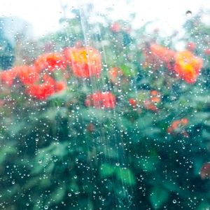 Liminal / Stillwave (Single)