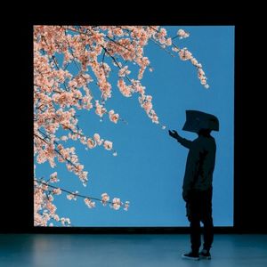 Reflection (Single)