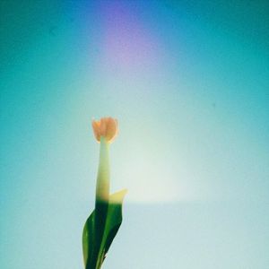 魔法 (Single)