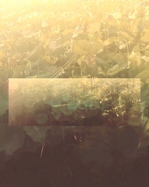 Refract