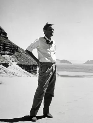 Maverick: The Epic Adventures of David Lean