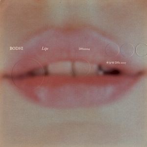Lips (Single)