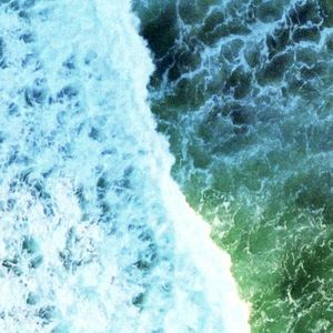 Wave