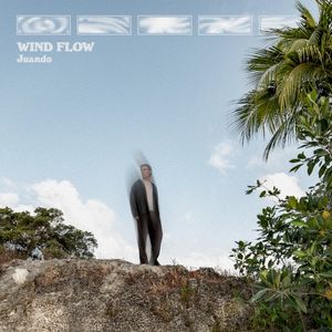 Wind Flow