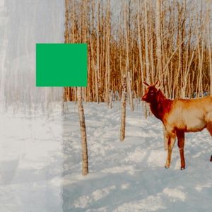 Green Screen (Single)