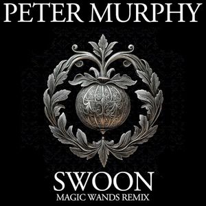 Swoon (Magic Wands remix)