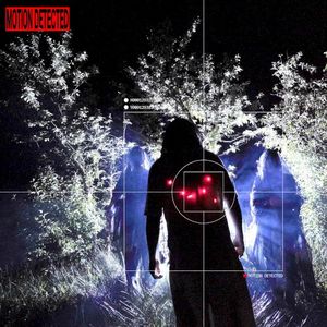 Motion Detected (Single)