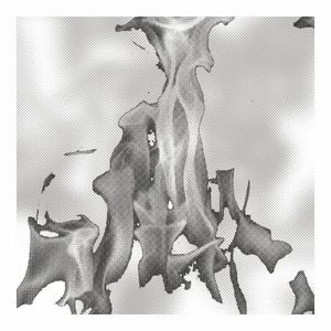BLAZE (EP)