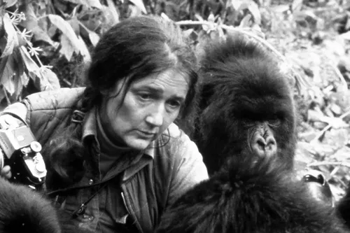 Cover Dian Fossey