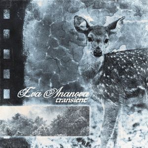 Transient (Single)