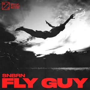Fly Guy (Single)