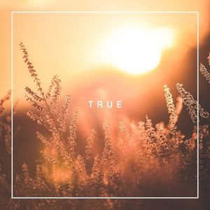 True (Single)