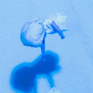 Stoplights (Single)