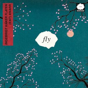 fly