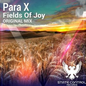 Fields Of Joy (Single)