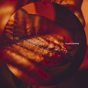 Fossil (EP)