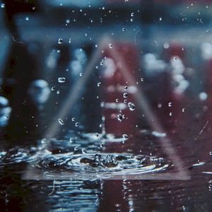 Raindrops