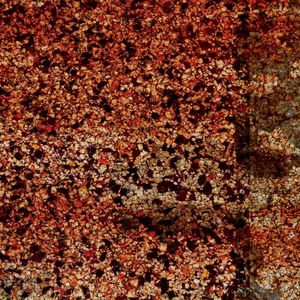 shingles