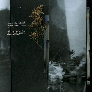 Split (Single)