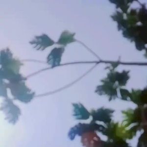 Remaining (Single)