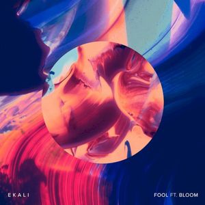 Fool (Single)