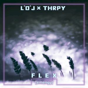 Flex (Single)