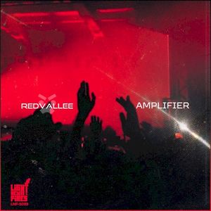 AMPLIFIER (Single)