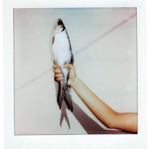 catch//release (Single)