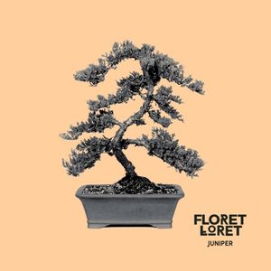 Juniper (Single)