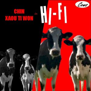 Cows