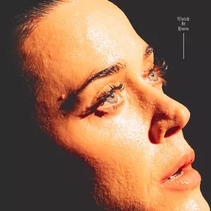 Watch It Burn (Single)