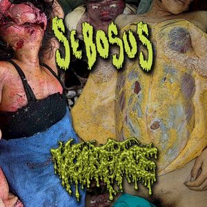 2 Way Split (EP)