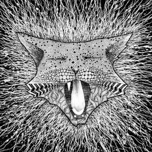 Fool (Single)