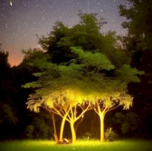 Somewhere (Single)