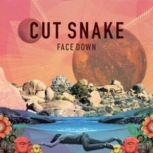 Face Down (Single)