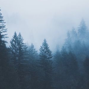 Time Is Here (Single)