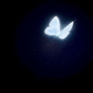 Firetail (Single)