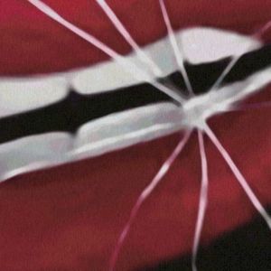 flash (Single)