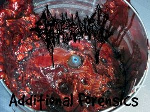 Research of the Semi-Decayed Mix of an Intestinal Path