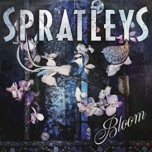 Bloom
