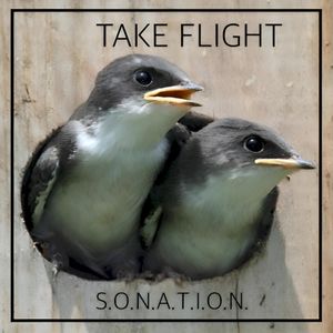 Take Flight (Single)