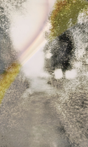 Brouillard #19