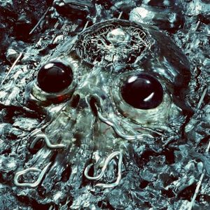 Level 5 (Single)