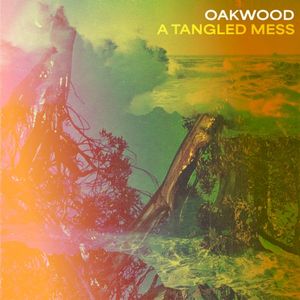 A Tangled Mess (Single)