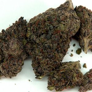 Sunset Sherbert (Single)