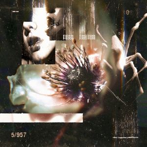 FEAR FACTOR (Single)