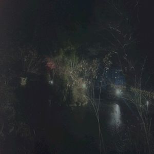 Dim Light (Single)