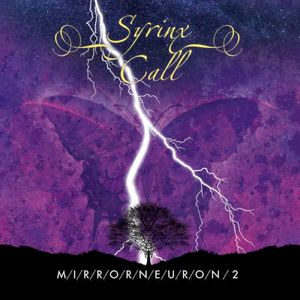 Mirrorneuron 2