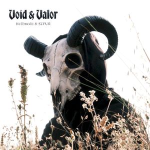 Void & Valor (EP)